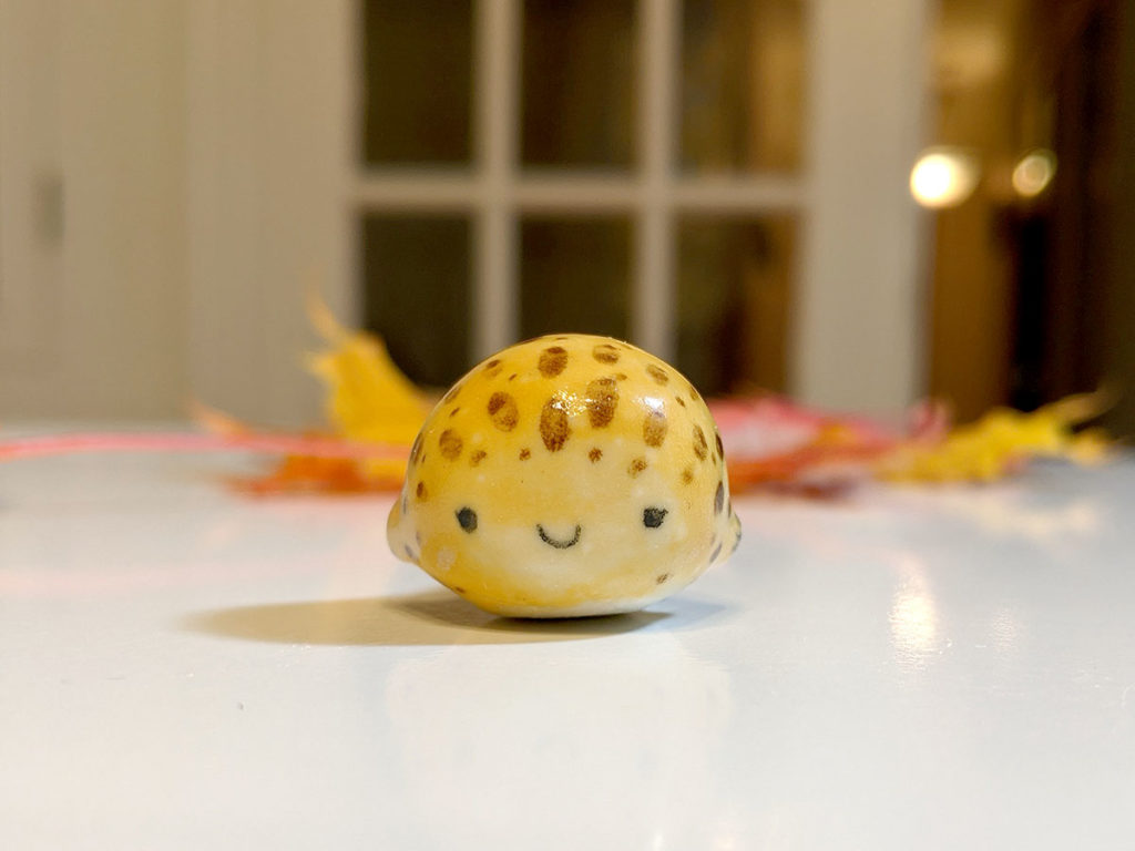 globe fish