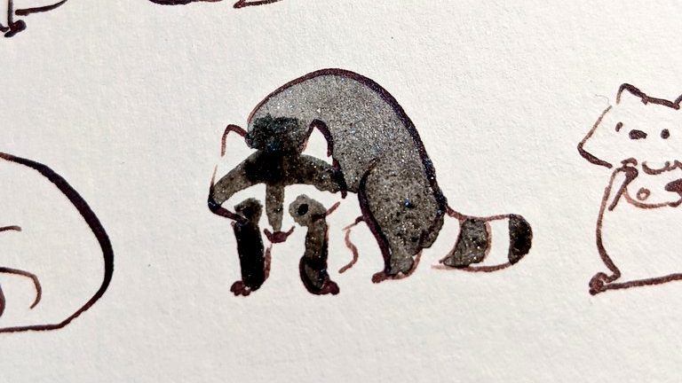 Sparkly Raccoon