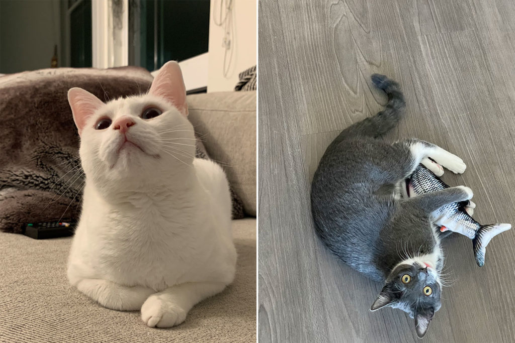 The models, Nini and MooMoo