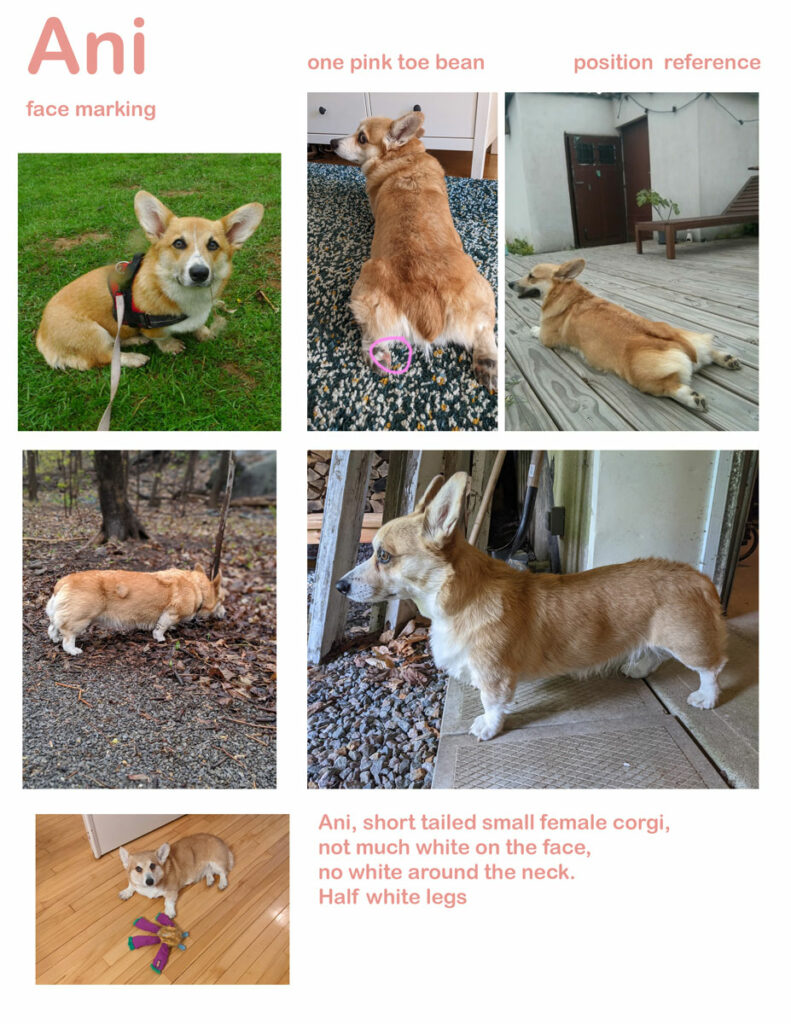 Example of a reference sheet for a commissioned piece