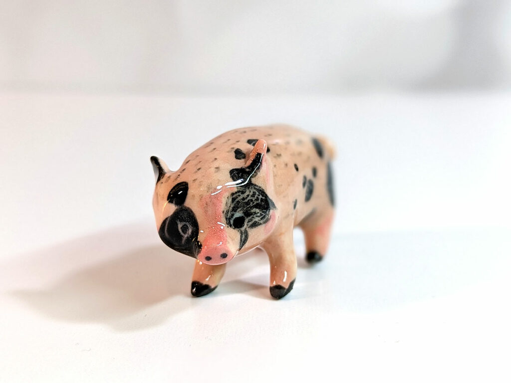 Fred the pig as a portrait