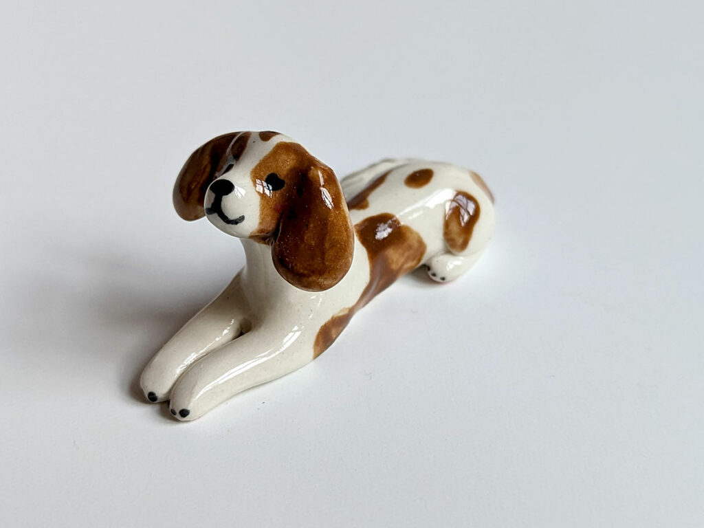 cavalier king charles Spaniel
