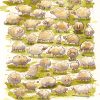 do corgis dream of sheep original painting