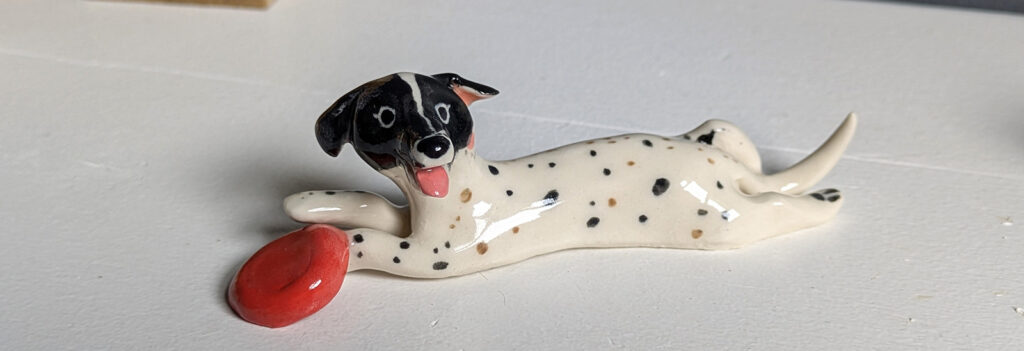 dog portrait with a freesbee