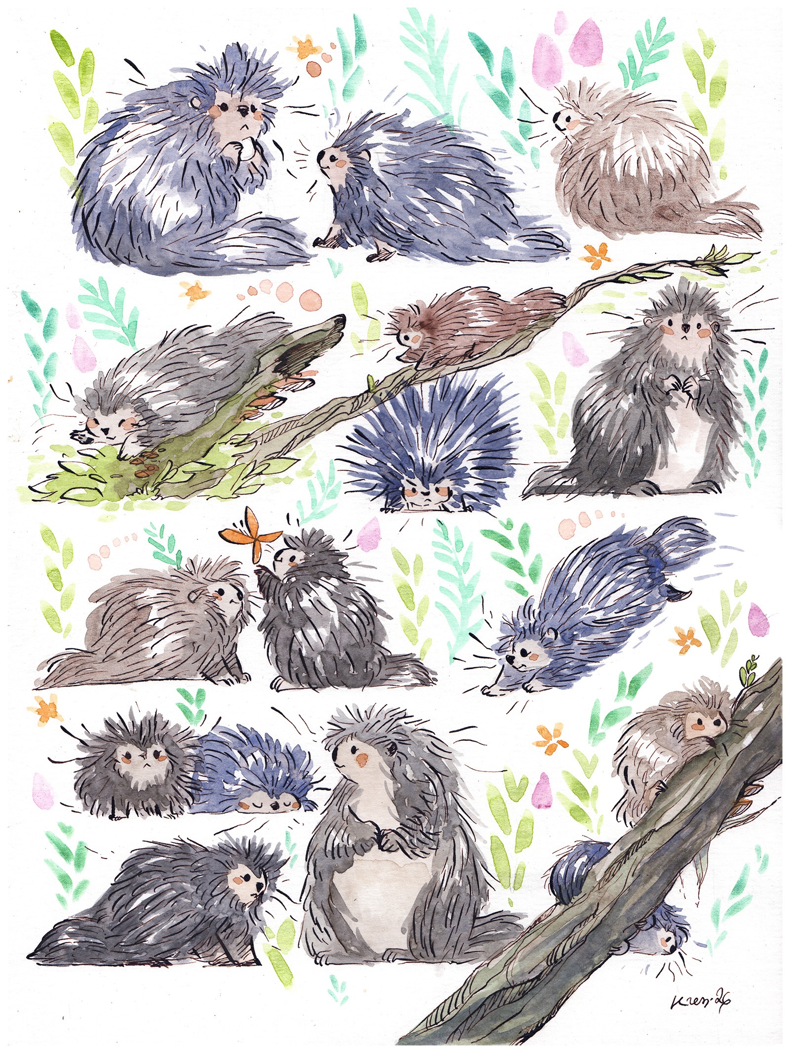 Alternative view of Original Watercolor Painting - 16 Porcupines