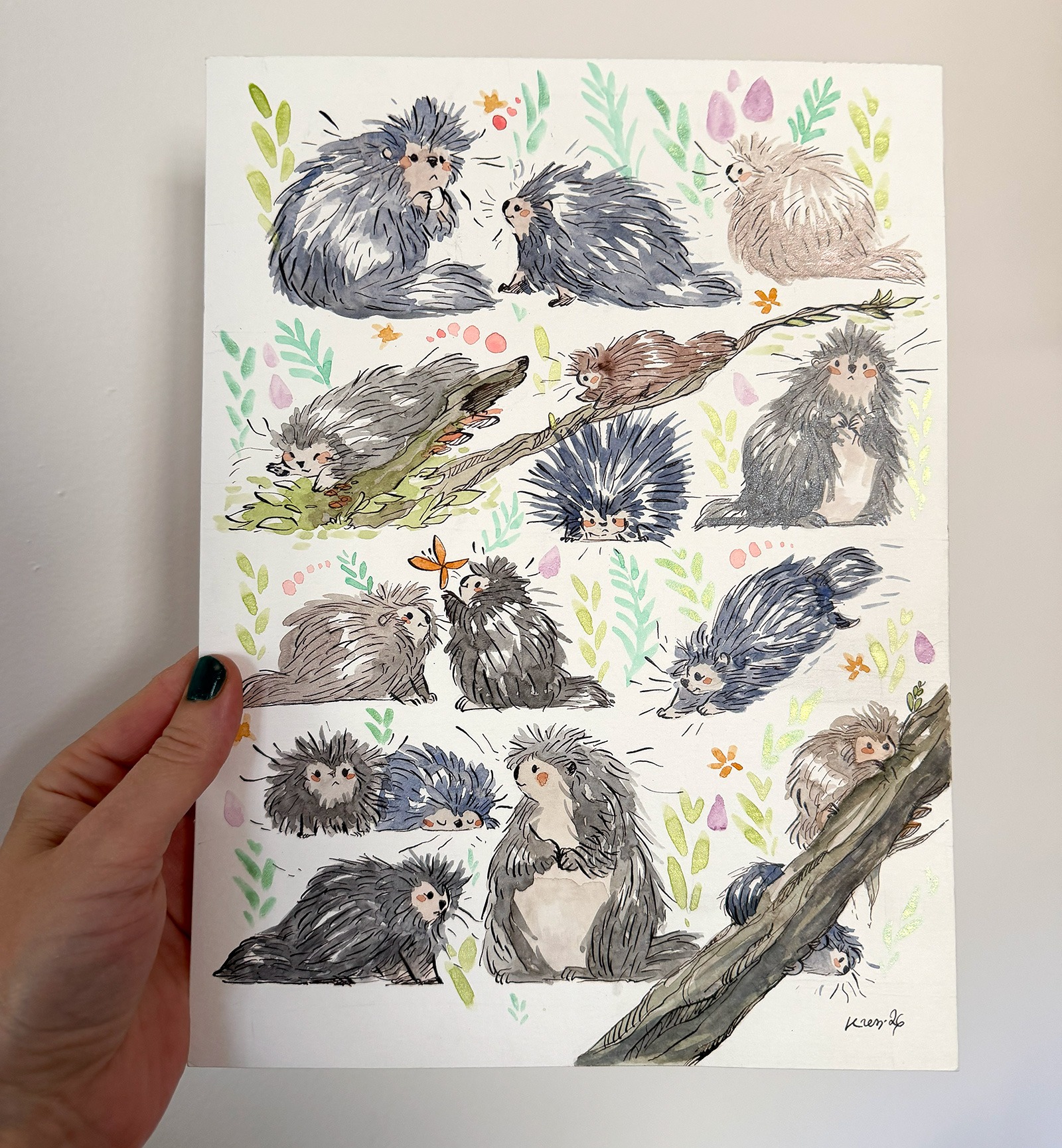 Original Watercolor Painting - 16 Porcupines