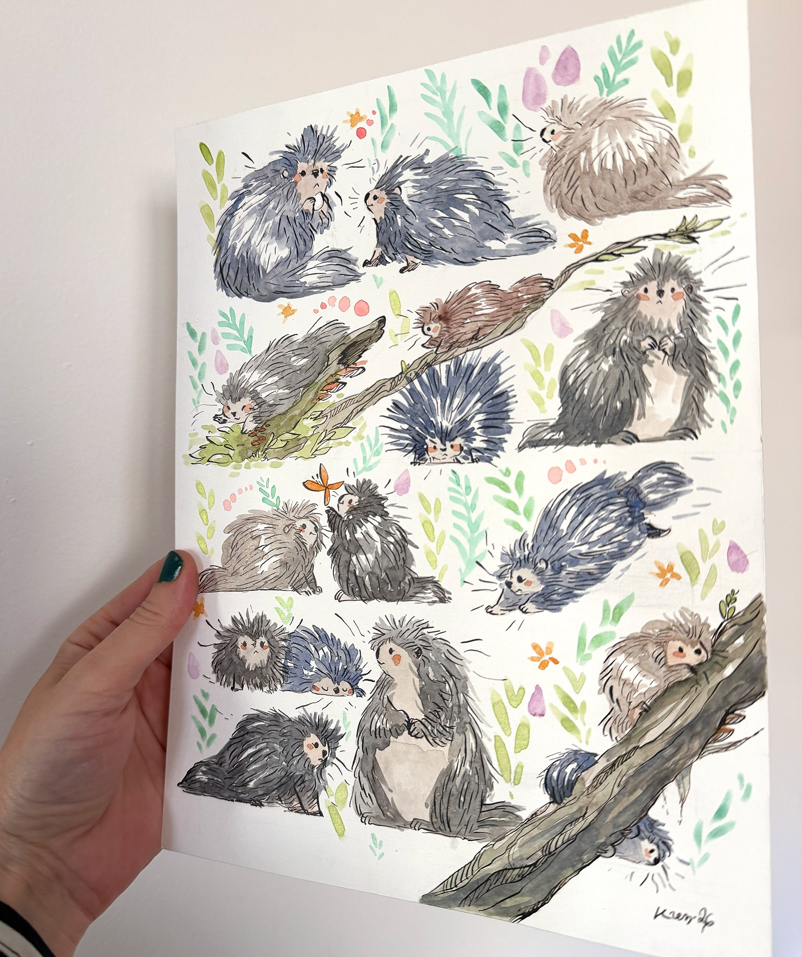 Original Watercolor Painting - 16 Porcupines - Image 6