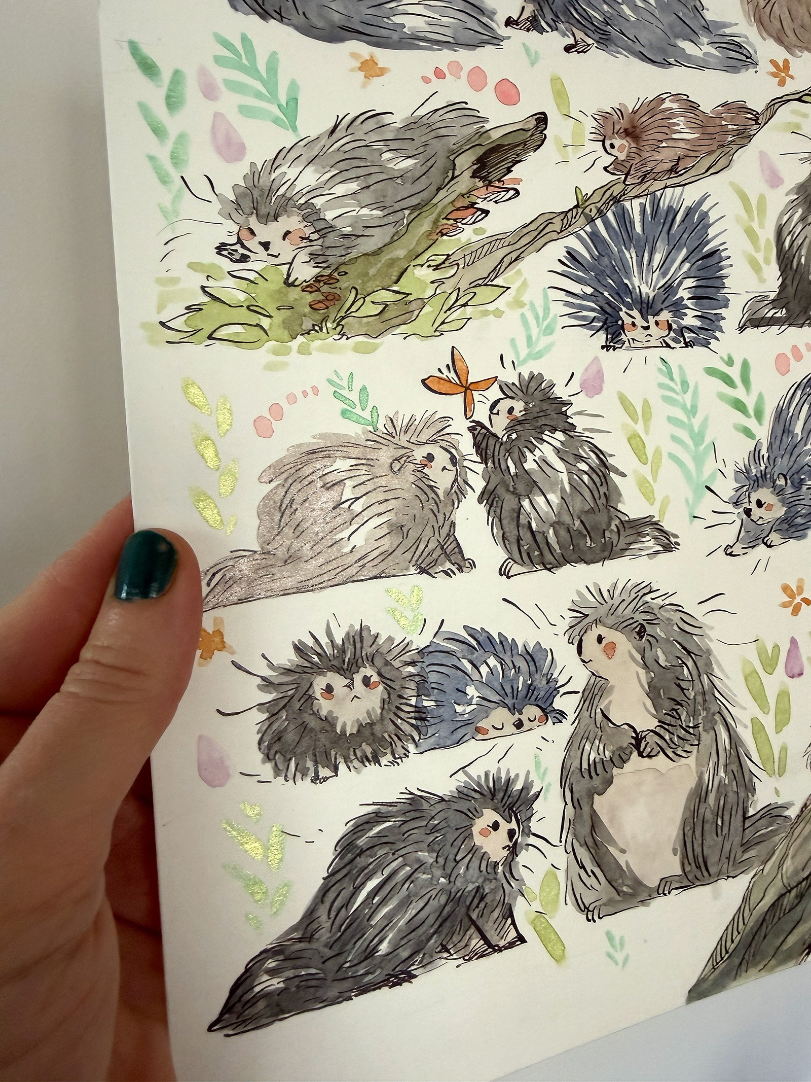Original Watercolor Painting - 16 Porcupines - Image 5