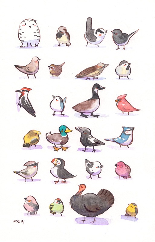Affiche - Les oiseaux résidents du Québec – Image 4