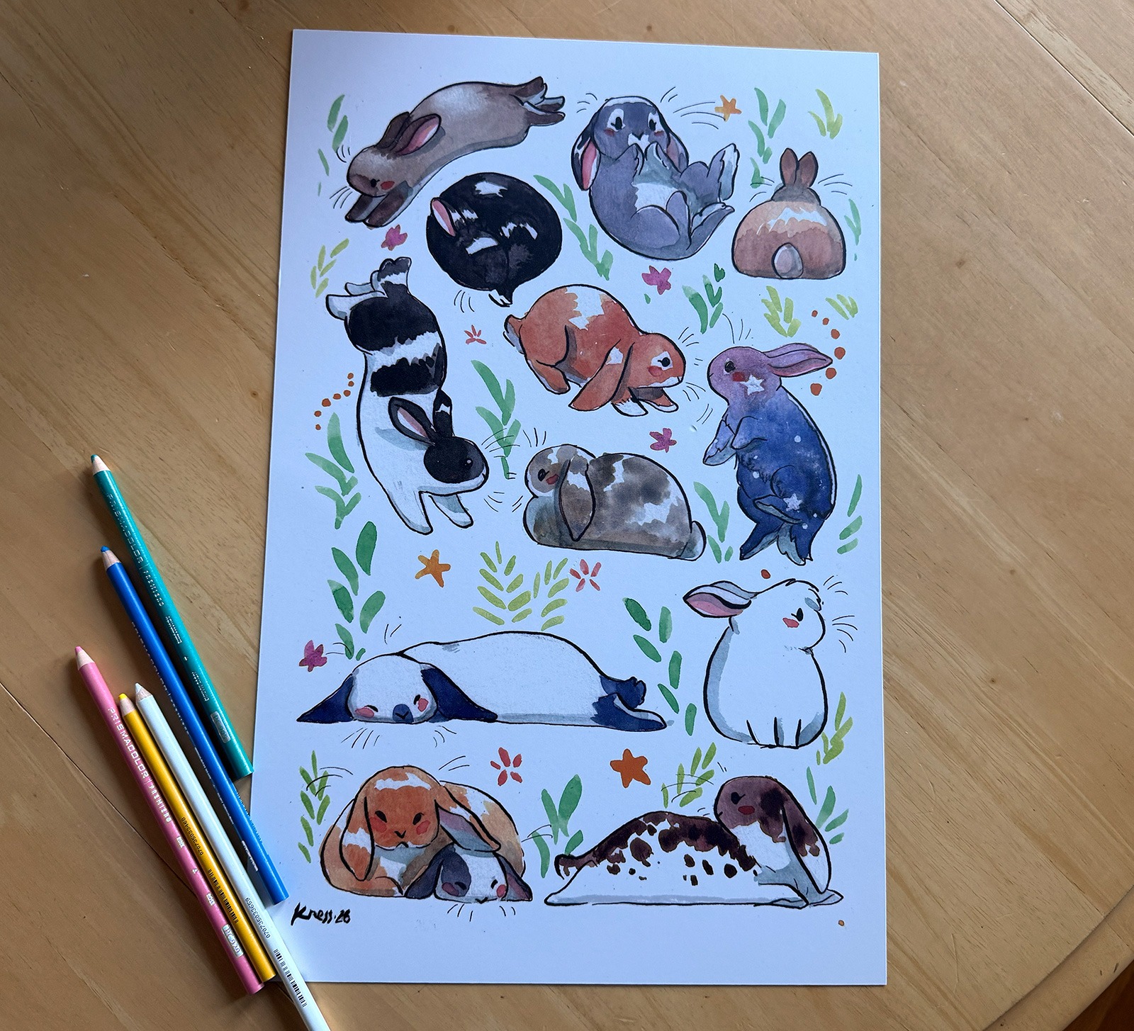 Affiche - 13 Lapins