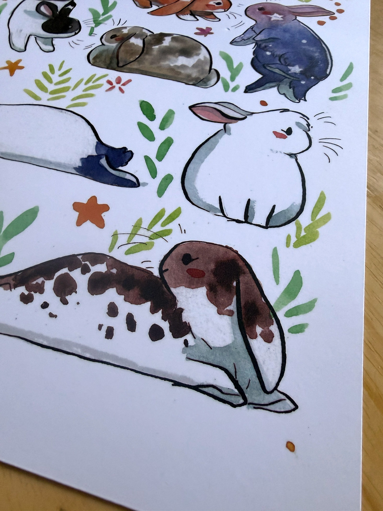 Alternative view of Affiche - 13 Lapins