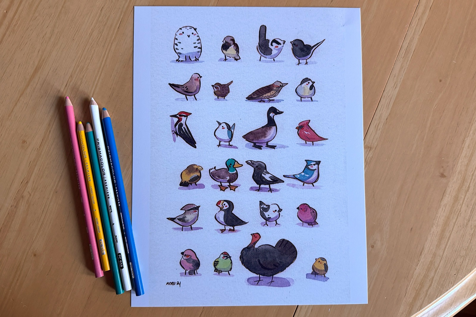 Affiche - Les oiseaux résidents du Québec – Image 3