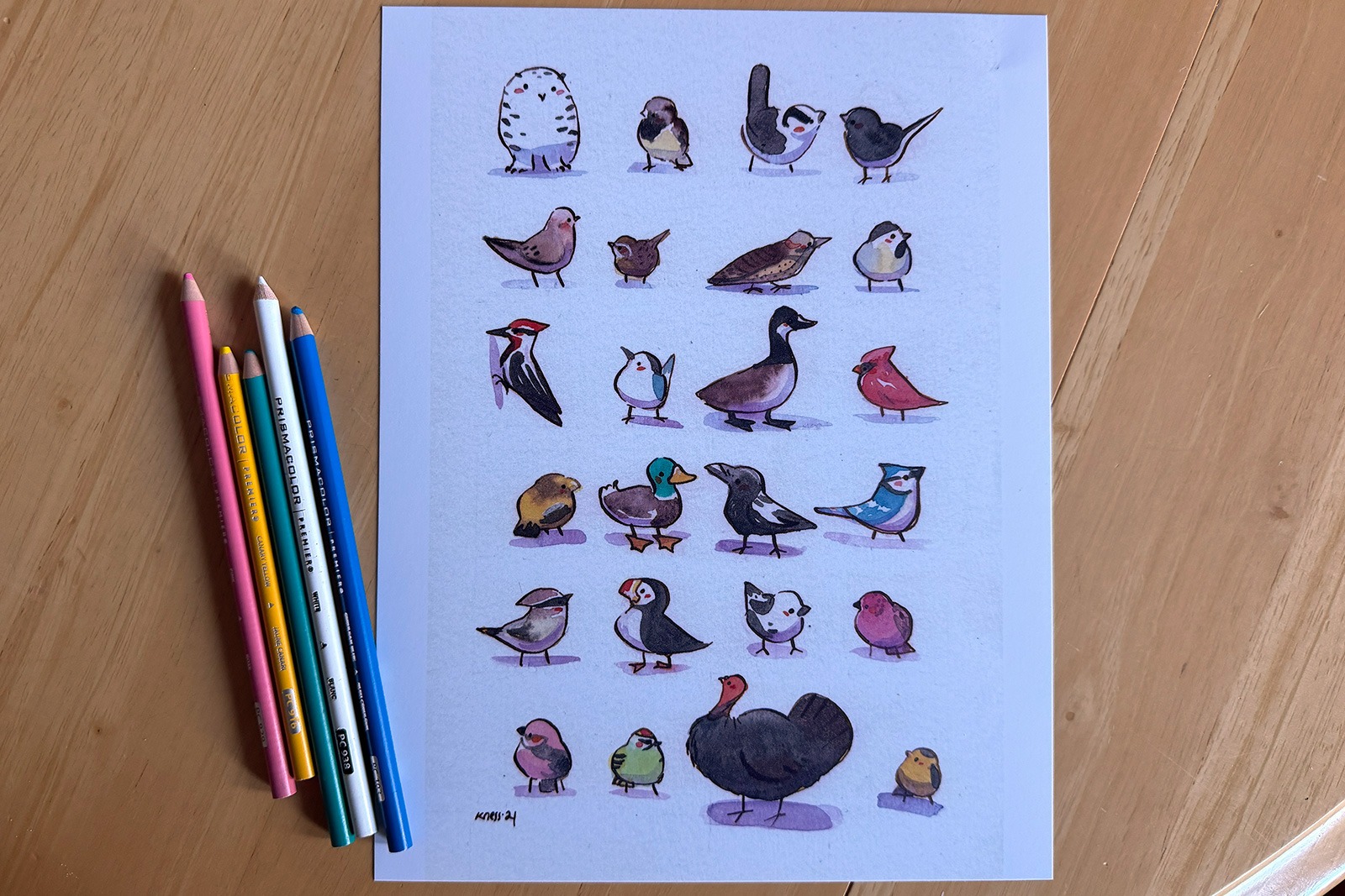 Affiche - Les oiseaux résidents du Québec
