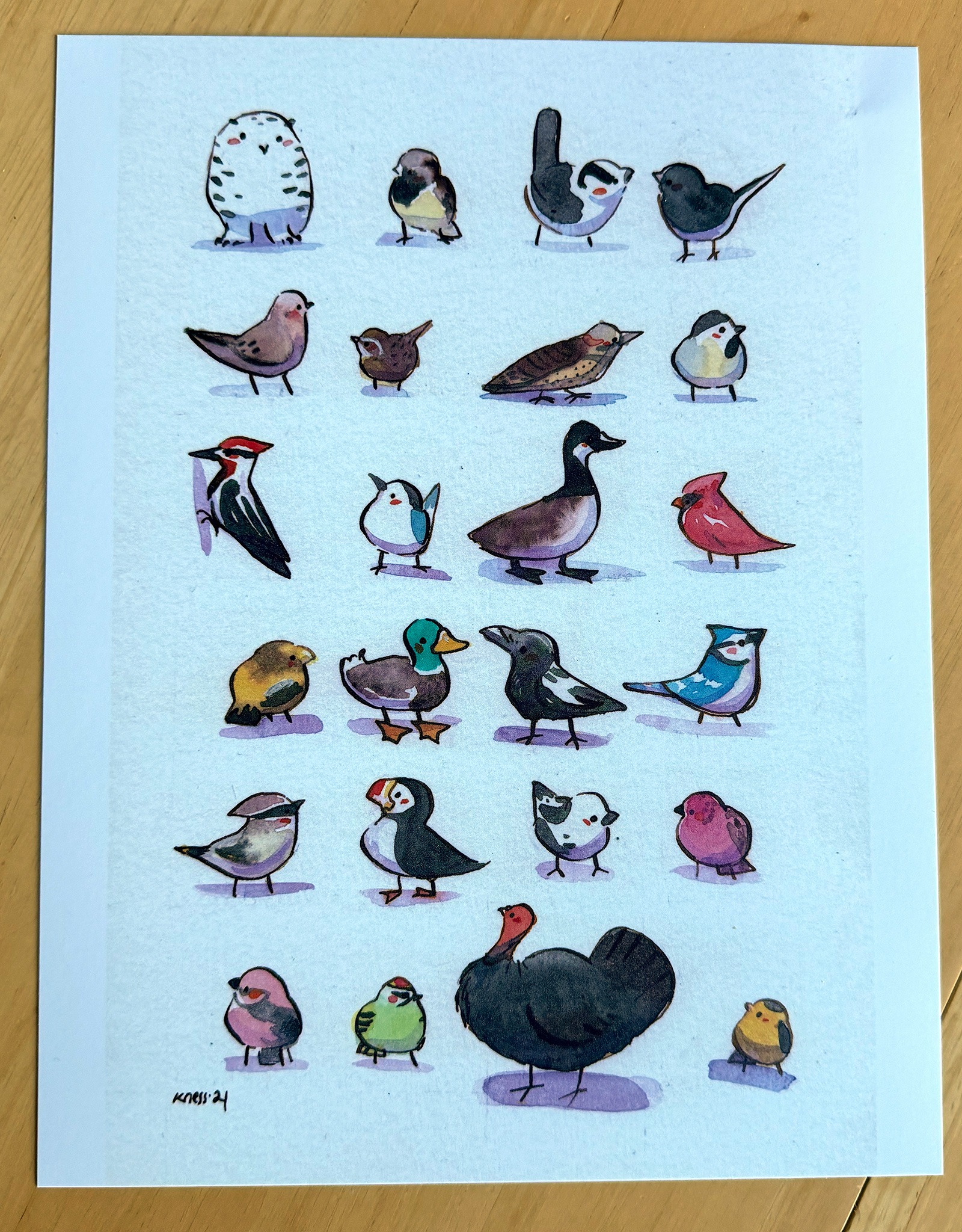 Alternative view of Affiche - Les oiseaux résidents du Québec